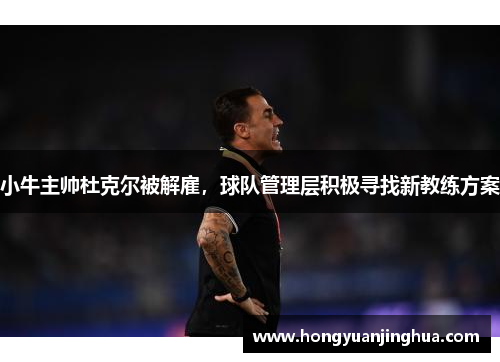 小牛主帅杜克尔被解雇，球队管理层积极寻找新教练方案