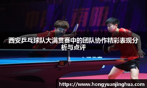 球速体育平台登录入口